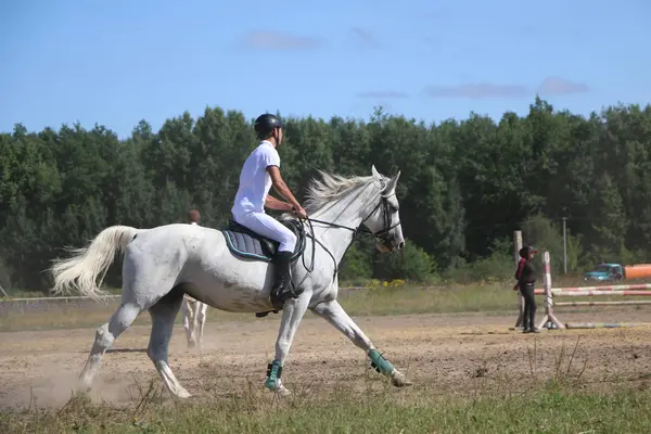 Yoshkar-Ola, RUSSIA, 29 de julho de 2018: Corrida de cavalos e salto — Fotografia de Stock