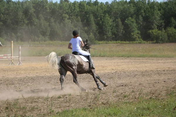 Yoshkar-Ola, RUSSIA, July 29, 2018: Horse racing and jumping on — Stock Photo, Image