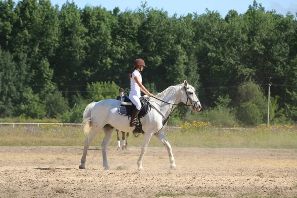 Yoshkar-Ola, Rusland, juli 29, 2018: Paardenrennen en springen op — Stockfoto