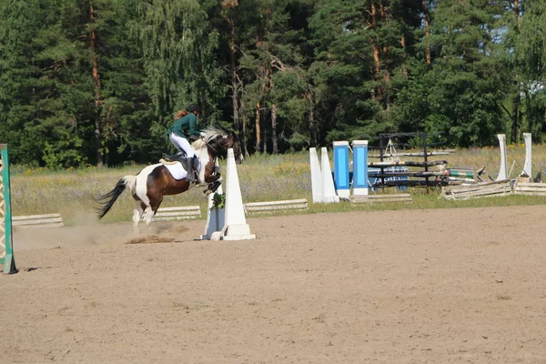 Yoshkar-Ola, RUSSIA, 29. juli 2018: Hesteveddeløp og hopping – stockfoto