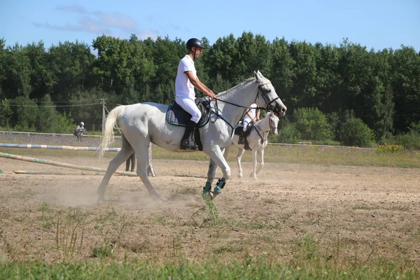 Yoshkar-Ola, RUSIA, 29 de julio de 2018: Carreras de caballos y saltos — Foto de Stock
