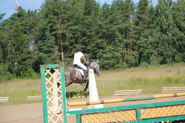 Yoshkar-Ola, Rusland, juli 29, 2018: Paardenrennen en springen op — Stockfoto