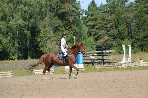 Yoshkar-Ola, RUSIA, 29 de julio de 2018: Carreras de caballos y saltos —  Fotos de Stock