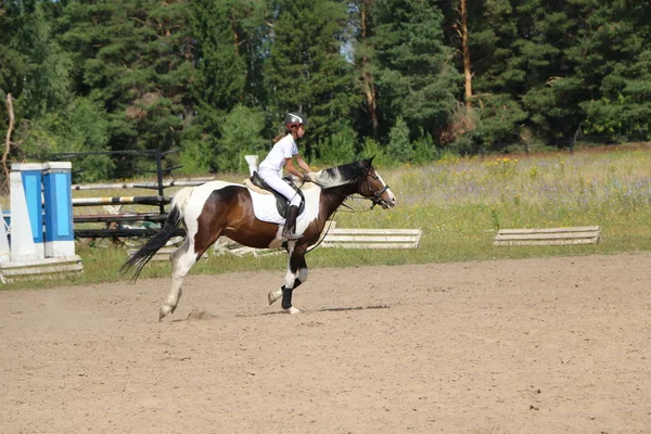 Yoshkar-Ola, Ryssland, 29 juli 2018: Hästkapplöpning och hoppa på — Stockfoto