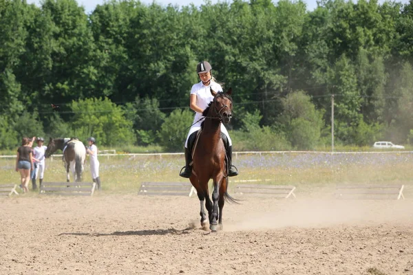 Joschkar-ola, russland, 29. Juli 2018: Pferderennen und Springen — Stockfoto