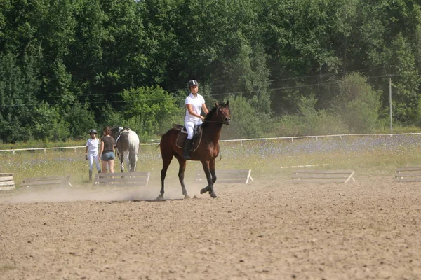 Yoshkar-Ola, RUSSIA, 29 de julho de 2018: Corrida de cavalos e salto — Fotografia de Stock