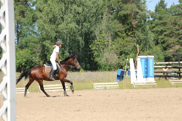 Yoshkar-Ola, RUSIA, 29 de julio de 2018: Carreras de caballos y saltos —  Fotos de Stock