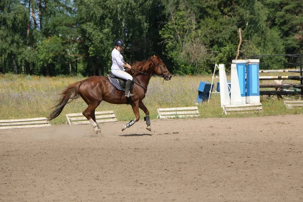 Yoshkar-Ola, RUSSIE, 29 juillet 2018 : Courses hippiques et sauts — Photo