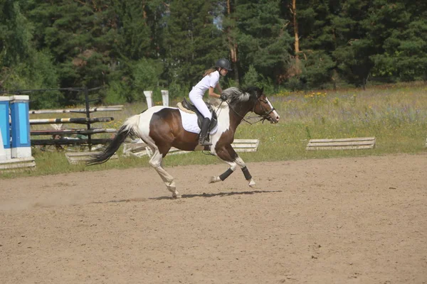 ヨシュカル ・ オラ ロシア、2018 年 7 月 29 日: 競馬とにジャンプ — ストック写真