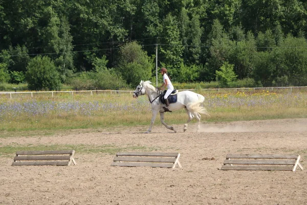 Yoshkar-Ola, Ryssland, 29 juli 2018: Hästkapplöpning och hoppa på — Stockfoto