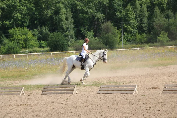 Yoshkar-Ola, RUSIA, 29 de julio de 2018: Carreras de caballos y saltos —  Fotos de Stock