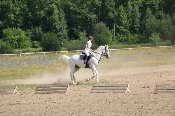 Yoshkar-Ola, RUSIA, 29 de julio de 2018: Carreras de caballos y saltos — Foto de Stock