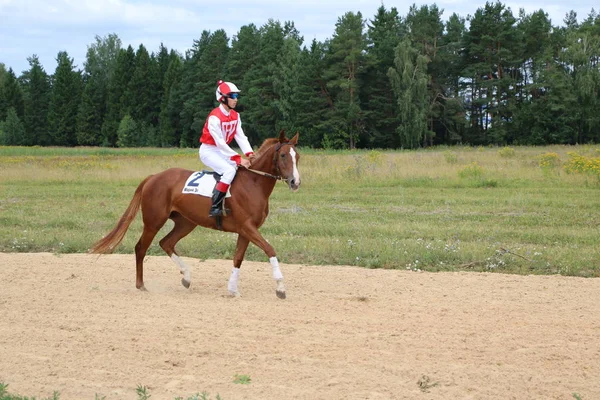 ヨシュカル ・ オラ ロシア、2018 年 7 月 29 日: 競馬とにジャンプ — ストック写真