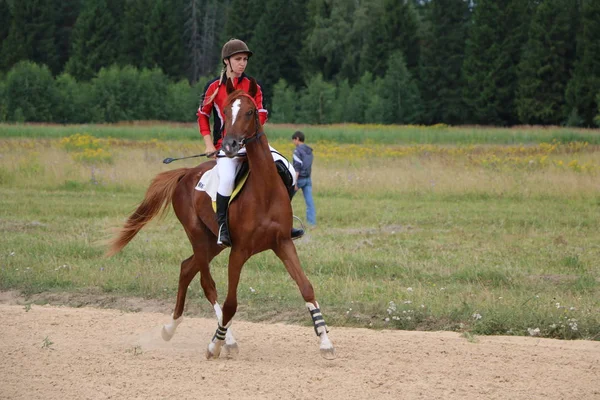 Yoshkar-Ola, RUSSIA, July 29, 2018: Horse racing and jumping on — Stock Photo, Image