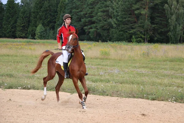 Yoshkar-Ola, RUSIA, 29 de julio de 2018: Carreras de caballos y saltos —  Fotos de Stock