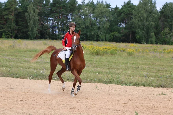 Yoshkar-Ola, Ryssland, 29 juli 2018: Hästkapplöpning och hoppa på — Stockfoto