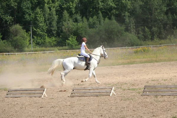 Yoshkar-Ola, Rusland, juli 29, 2018: Paardenrennen en springen op — Stockfoto