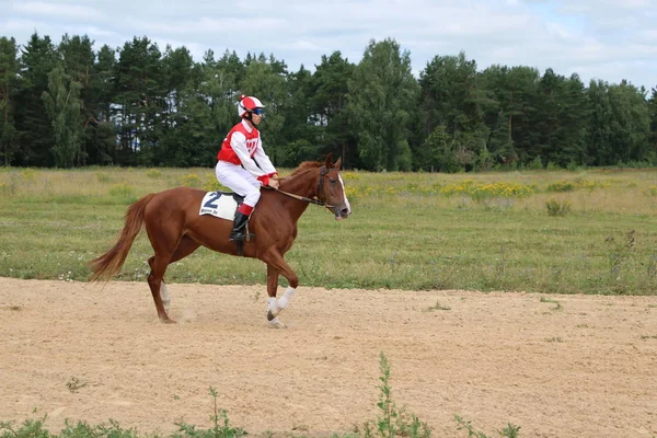 ヨシュカル ・ オラ ロシア、2018 年 7 月 29 日: 競馬とにジャンプ — ストック写真