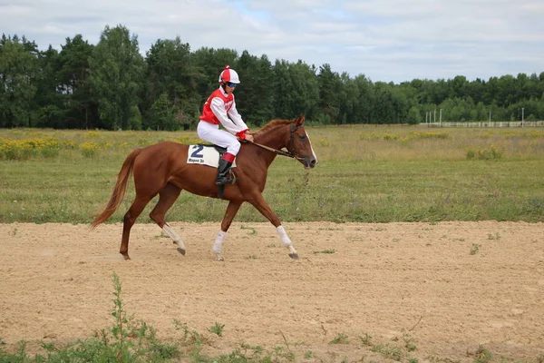 Yoshkar-Ola, RUSSIA, 29 luglio 2018: Corse di cavalli e salti — Foto Stock