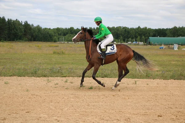 Yoshkar-Ola, RUSIA, 29 de julio de 2018: Carreras de caballos y saltos —  Fotos de Stock