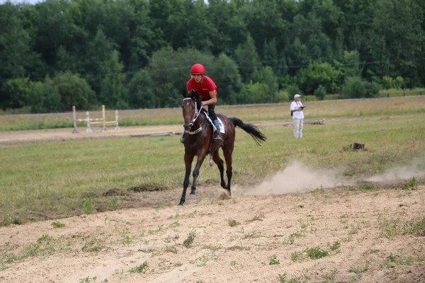 Yoshkar-Ola, Venäjä, 29. heinäkuuta 2018: Hevosurheilu ja hyppääminen — kuvapankkivalokuva