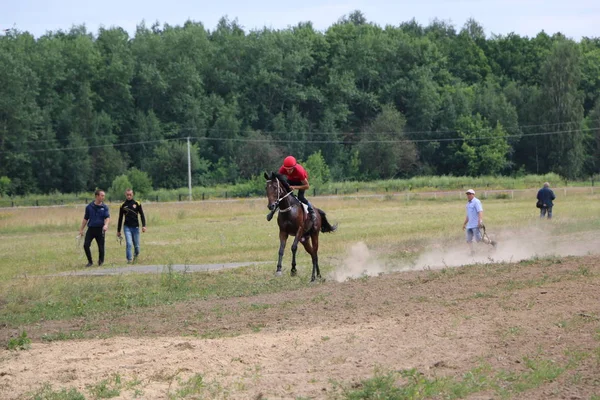 Yoshkar-Ola, RUSIA, 29 de julio de 2018: Carreras de caballos y saltos — Foto de Stock