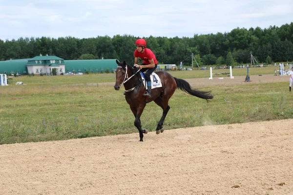 Yoshkar-Ola, RUSSIA, 29 de julho de 2018: Corrida de cavalos e salto — Fotografia de Stock