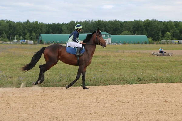 ヨシュカル ・ オラ ロシア、2018 年 7 月 29 日: 競馬とにジャンプ — ストック写真