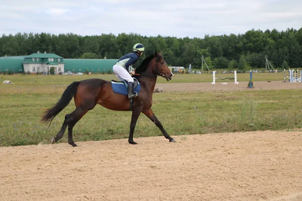 Yoshkar-Ola, Ryssland, 29 juli 2018: Hästkapplöpning och hoppa på — Stockfoto