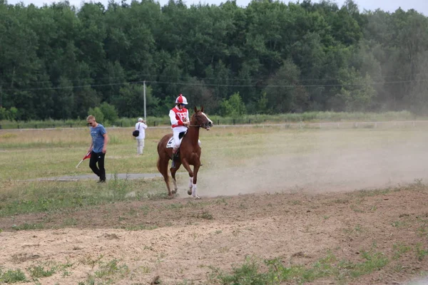 Yoshkar-Ola, RUSIA, 29 de julio de 2018: Carreras de caballos y saltos — Foto de Stock