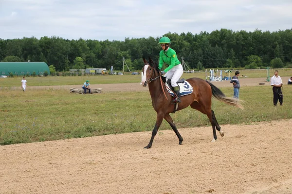 Yoshkar-Ola, RUSIA, 29 de julio de 2018: Carreras de caballos y saltos — Foto de Stock