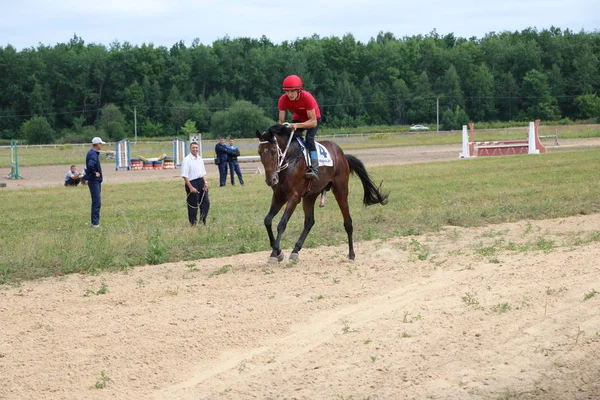 Yoshkar-Ola, RUSSIA, 29 de julho de 2018: Corrida de cavalos e salto — Fotografia de Stock