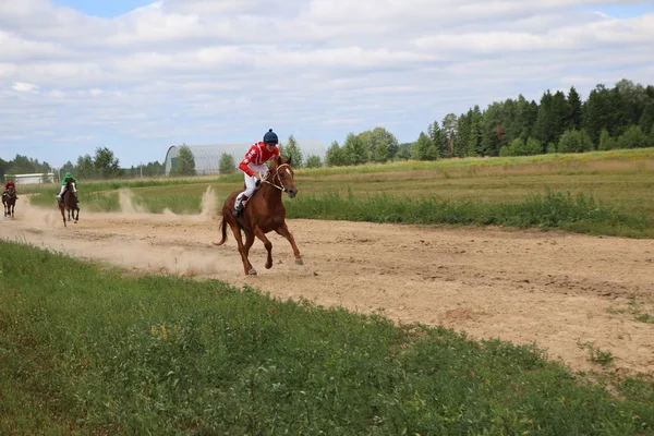 Yoshkar-Ola, RUSSIA, 29 de julho de 2018: Corrida de cavalos e salto — Fotografia de Stock