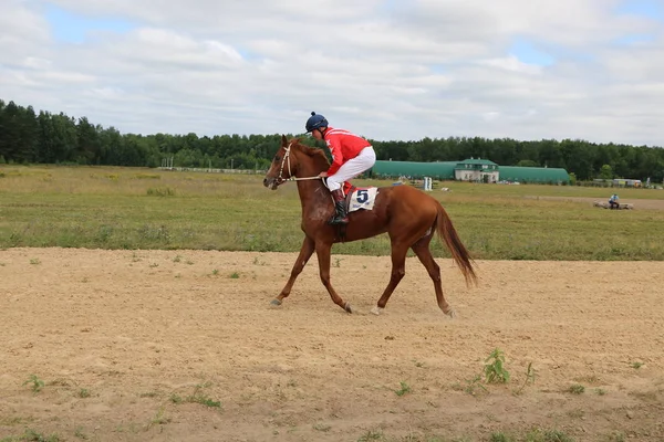 Yoshkar-Ola, Federacja Rosyjska, 29 lipca 2018 r.: Wyścigi konne i skoki — Zdjęcie stockowe
