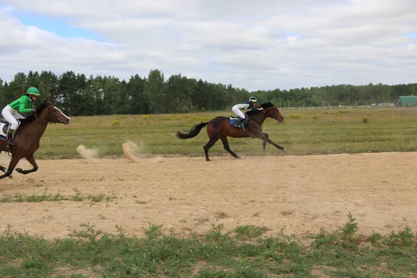 Yoshkar-Ola, RUSIA, 29 de julio de 2018: Carreras de caballos y saltos —  Fotos de Stock