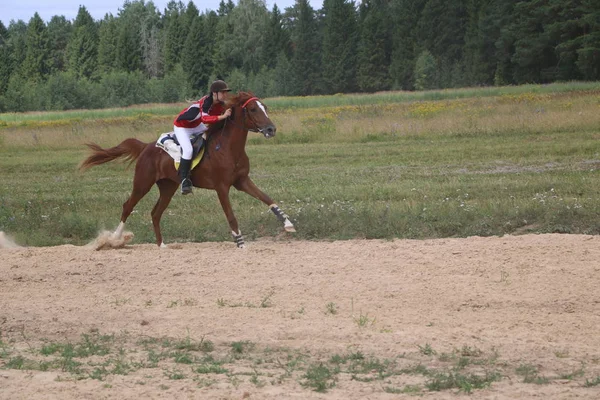 Yoshkar-Ola, RUSIA, 29 de julio de 2018: Carreras de caballos y saltos — Foto de Stock