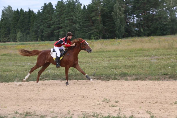 Yoshkar-Ola, RUSIA, 29 de julio de 2018: Carreras de caballos y saltos —  Fotos de Stock