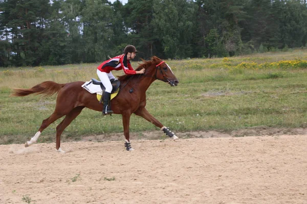 Yoshkar-Ola, RUSSIE, 29 juillet 2018 : Courses hippiques et sauts — Photo