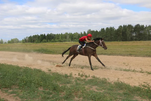 Yoshkar-Ola, RUSIA, 29 de julio de 2018: Carreras de caballos y saltos —  Fotos de Stock