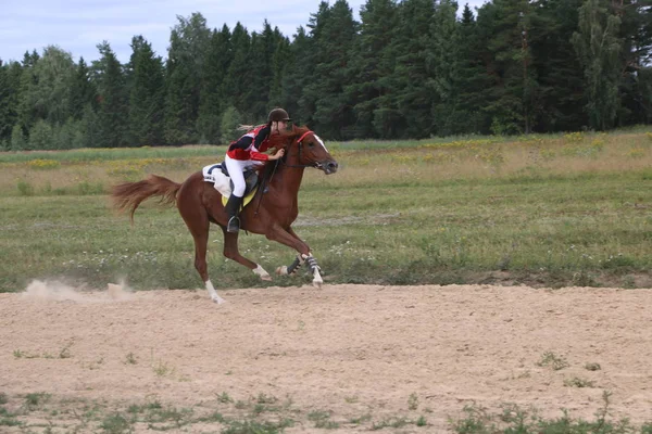 Yoshkar-Ola, RUSSIA, 29 luglio 2018: Corse di cavalli e salti — Foto Stock