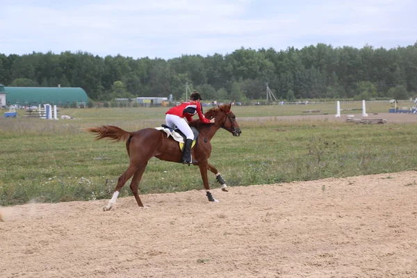 Yoshkar-Ola, RUSSIA, July 29, 2018: Horse racing and jumping on — Stock Photo, Image