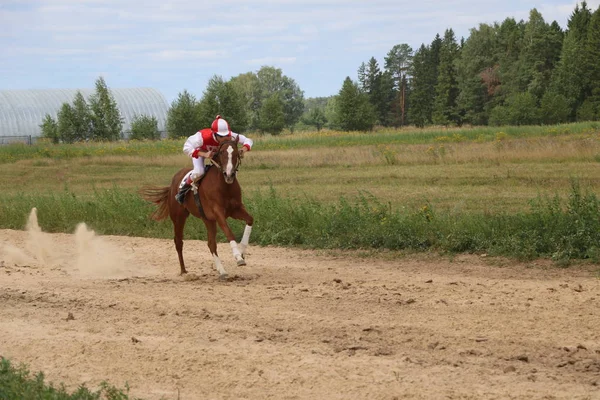 Yoshkar-Ola, RUSIA, 29 de julio de 2018: Carreras de caballos y saltos —  Fotos de Stock