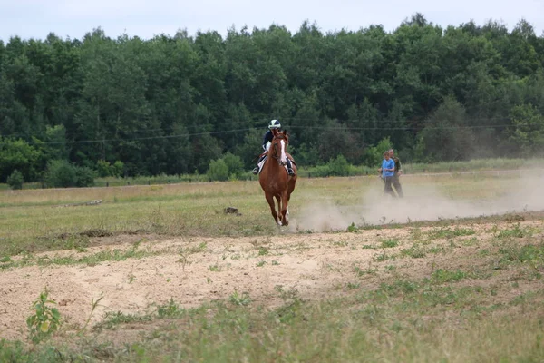 Yoshkar-Ola, RUSSIA, July 29, 2018: Horse racing and jumping on — Stock Photo, Image