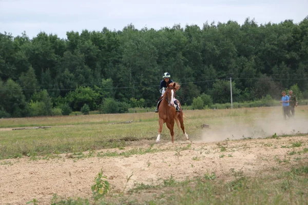 Yoshkar-Ola, Ryssland, 29 juli 2018: Hästkapplöpning och hoppa på — Stockfoto