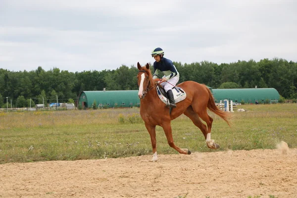 Yoshkar-Ola, RUSSIA, 29 de julho de 2018: Corrida de cavalos e salto — Fotografia de Stock