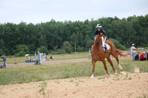 ヨシュカル ・ オラ ロシア、2018 年 7 月 29 日: 競馬とにジャンプ — ストック写真