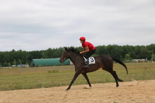 Yoshkar-Ola, RUSSIA, 29 de julho de 2018: Corrida de cavalos e salto — Fotografia de Stock