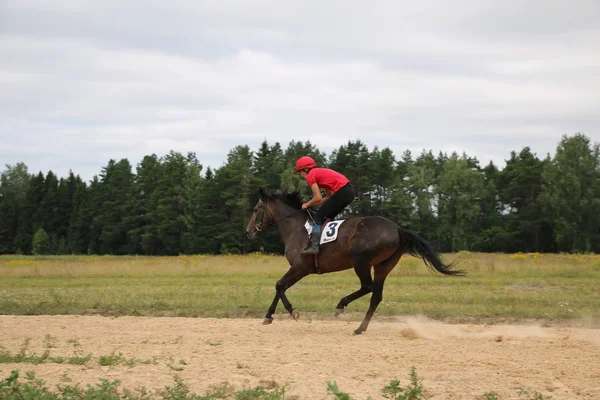 Yoshkar-Ola, RUSSIA, 29 de julho de 2018: Corrida de cavalos e salto — Fotografia de Stock