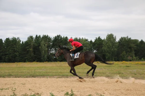 Yoshkar-Ola, RUSSIA, 29 de julho de 2018: Corrida de cavalos e salto — Fotografia de Stock