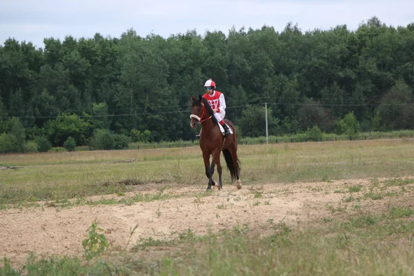 Yoshkar-Ola, Oroszország, július 29-én 2018-ban: Lóverseny és ugrás — Stock Fotó